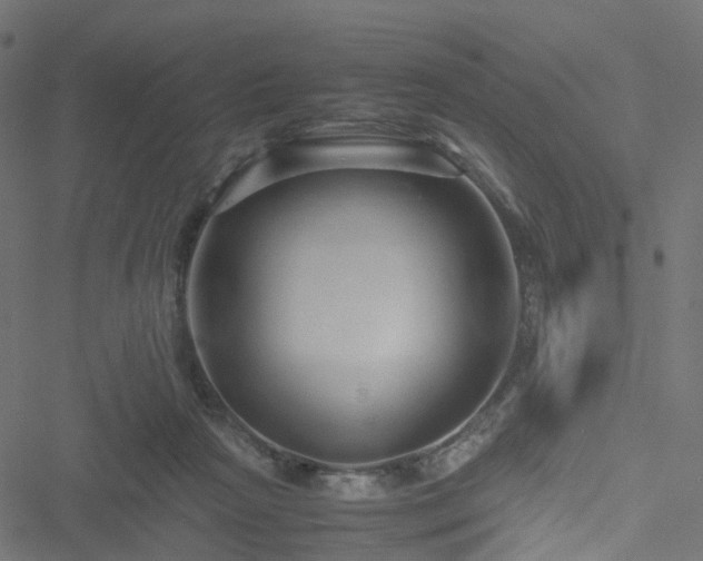 X0000051240265200506241529