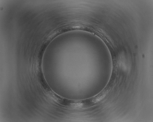 X0000051240266200506241529