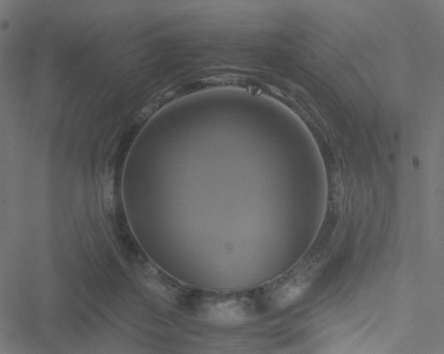 X0000051240267200506241529