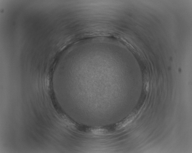 X0000051240268200506241529