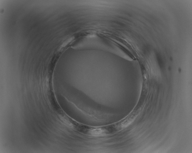 X0000051240269200506241529