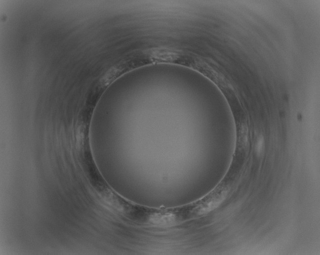 X0000051240271200506241529