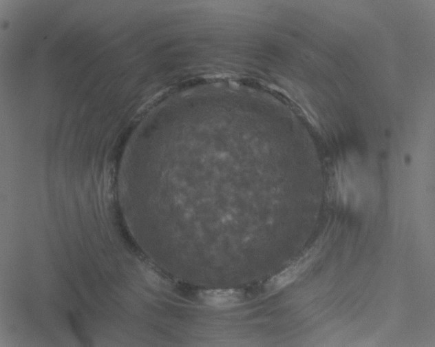 X0000051240273200506241529