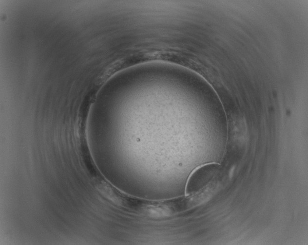 X0000051240275200506241529