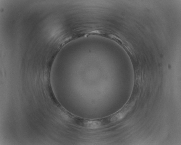 X0000051240277200506241529