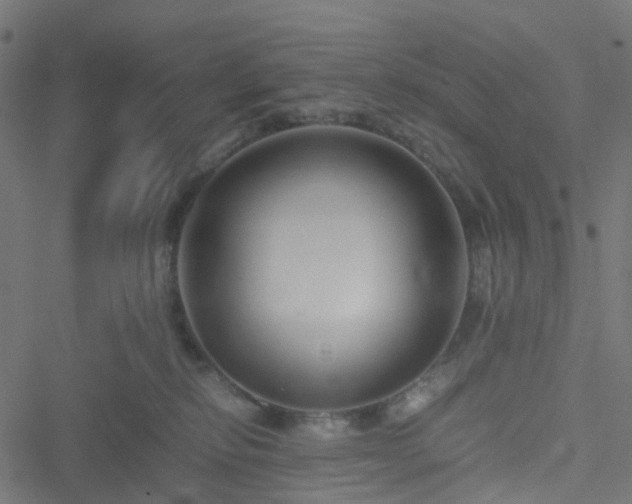 X0000051240278200506241529