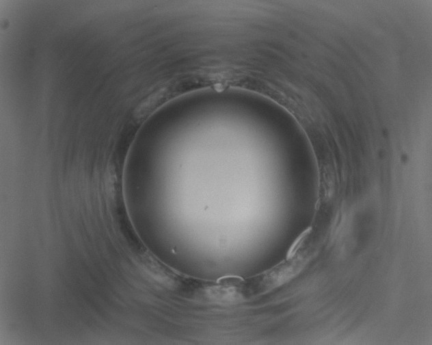 X0000051240279200506241529