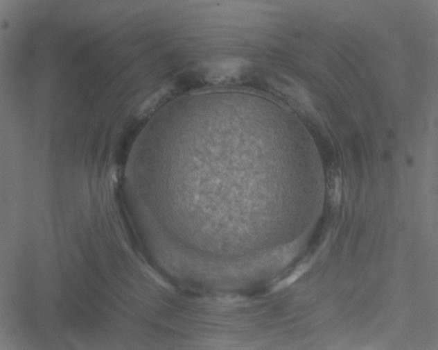 X0000051240280200506241529