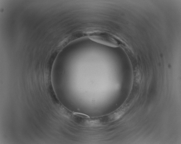 X0000051240283200506241529