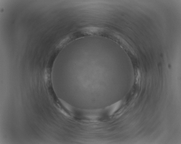 X0000051240284200506241529