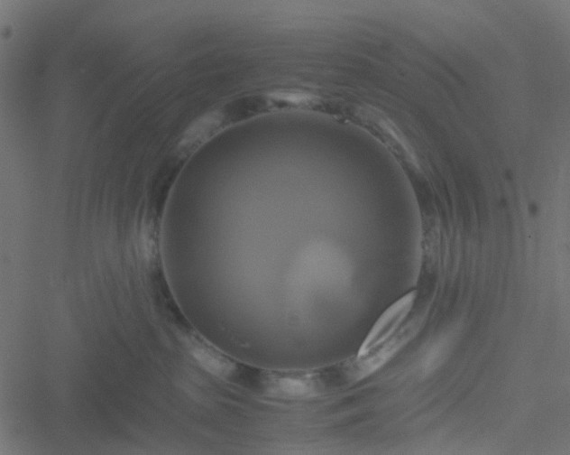 X0000051240285200506241529