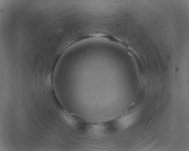 X0000051240286200506241529