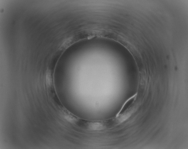 X0000051240287200506241529