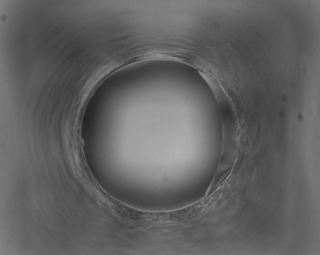 X0000051240289200506241528