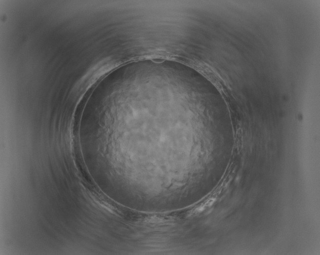 X0000051240290200506241528