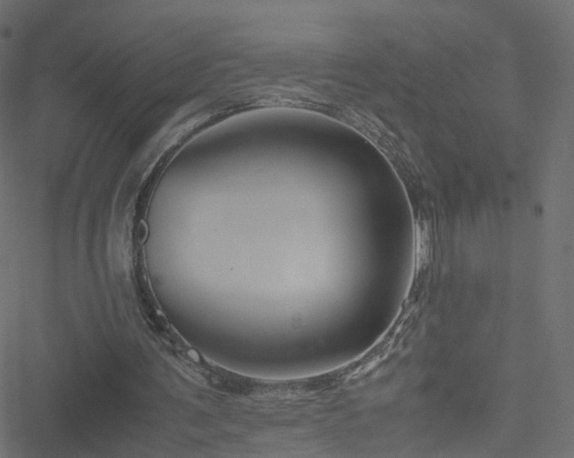 X0000051240291200506241528