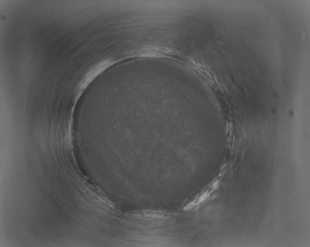 X0000051240292200506241528