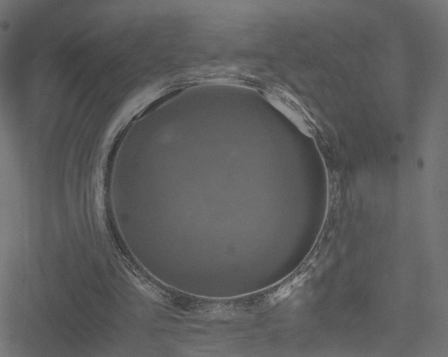 X0000051240293200506241528