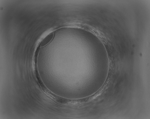 X0000051240294200506241528