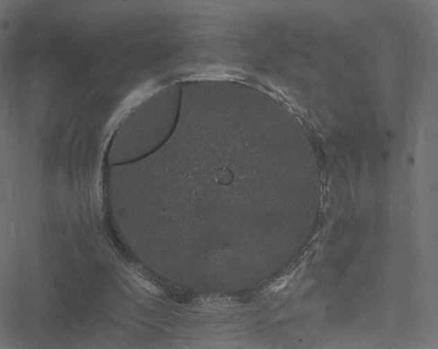 X0000051240296200506241528