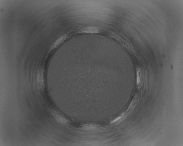 X0000051240300200506241528