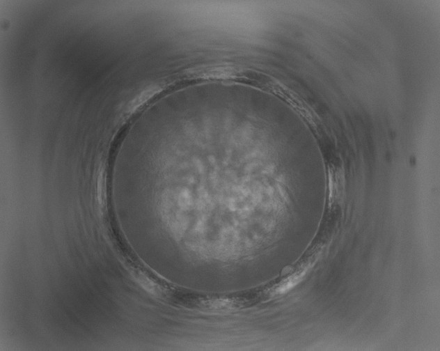 X0000051240301200506241528