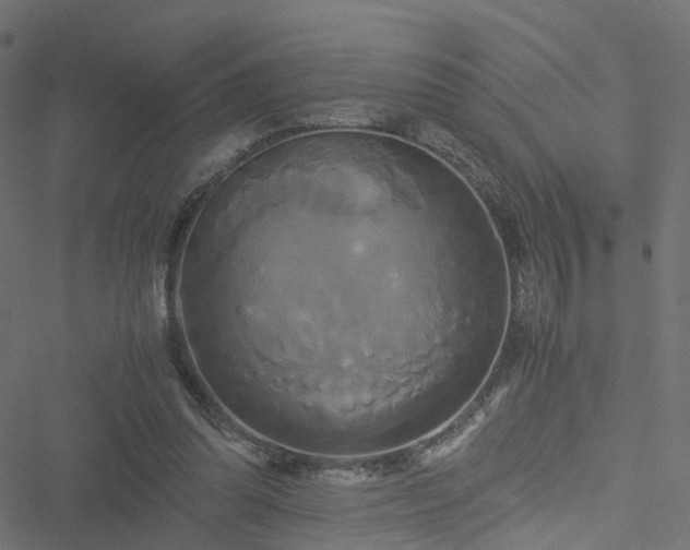 X0000051240302200506241528