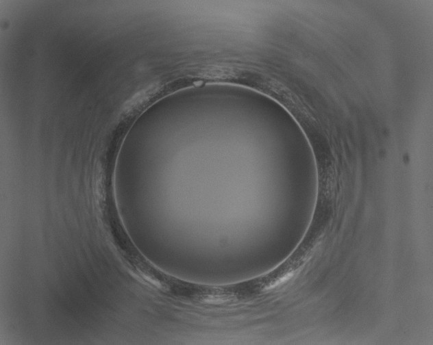 X0000051240303200506241528