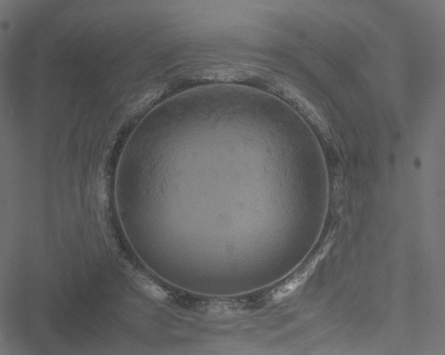 X0000051240305200506241528