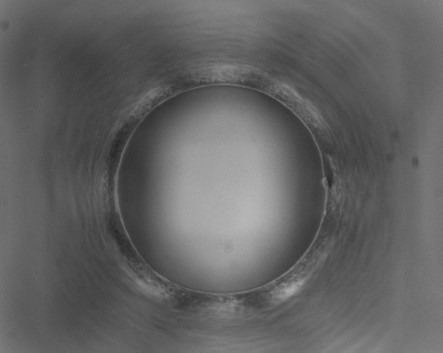 X0000051240306200506241528