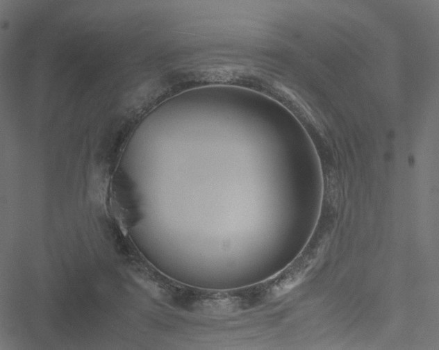 X0000051240307200506241528