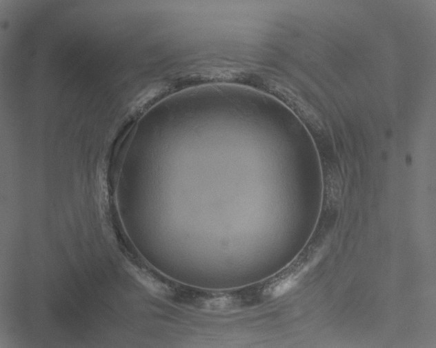 X0000051240309200506241528