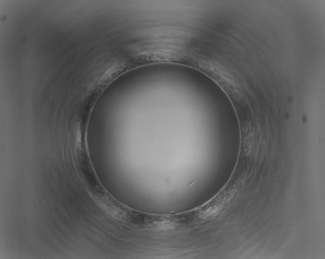 X0000051240310200506241528