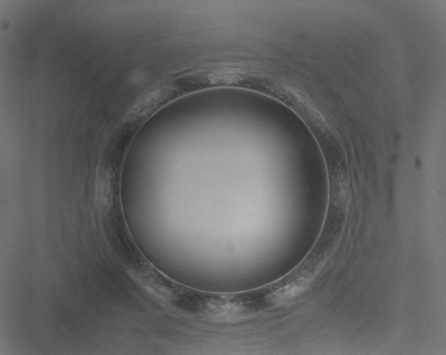 X0000051240311200506241528