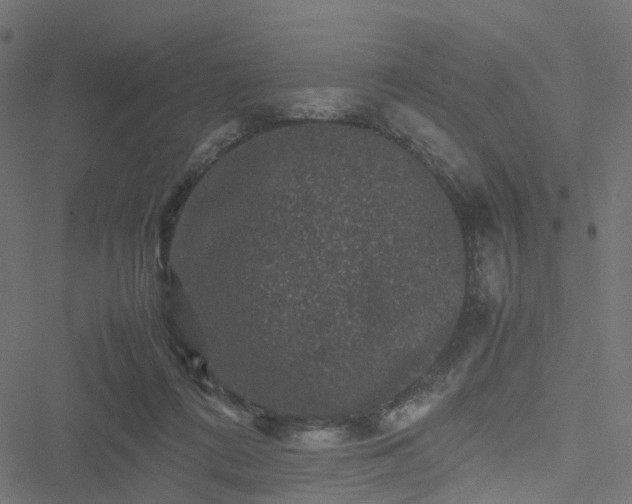 X0000051240312200506241528