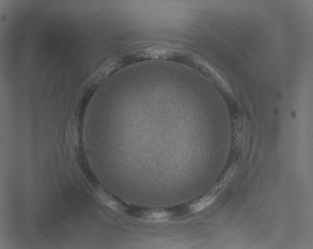 X0000051240313200506241528