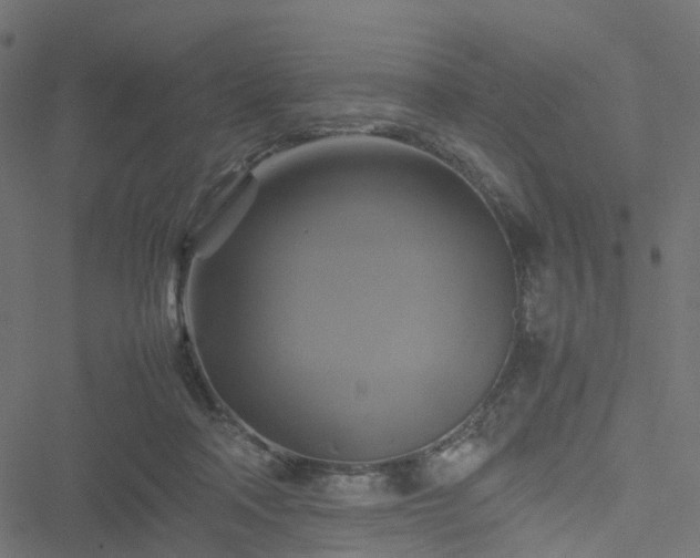 X0000051240314200506241528