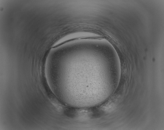 X0000051240315200506241528