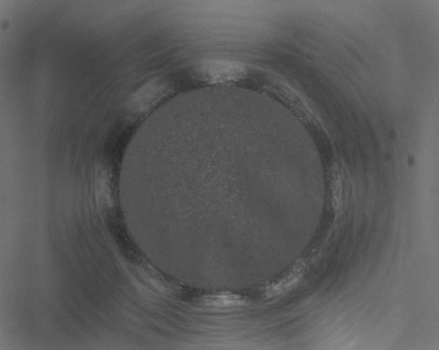 X0000051240316200506241528