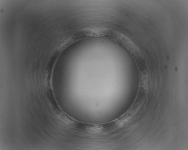 X0000051240318200506241528