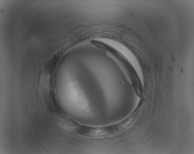 X0000051240319200506241528