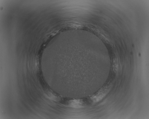 X0000051240320200506241528