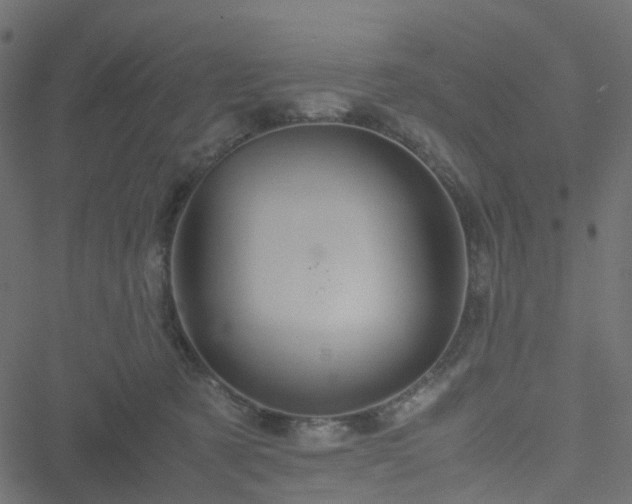 X0000051240321200506241528