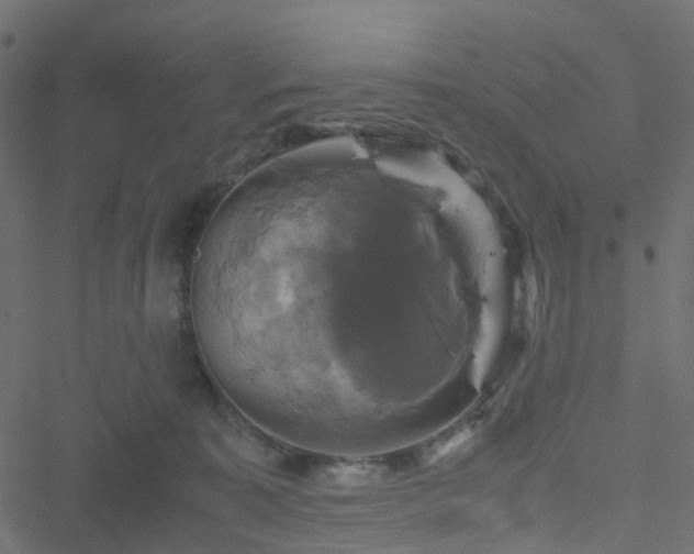 X0000051240323200506241528