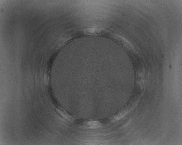 X0000051240324200506241528