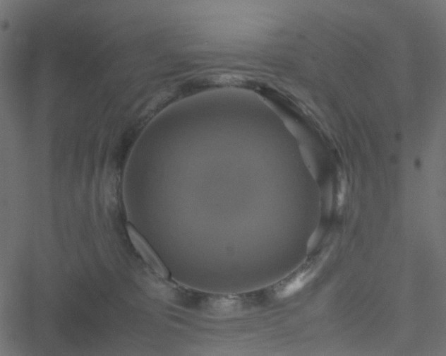 X0000051240325200506241528