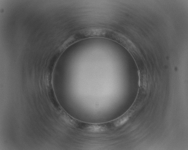 X0000051240326200506241528