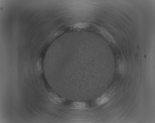 X0000051240328200506241528