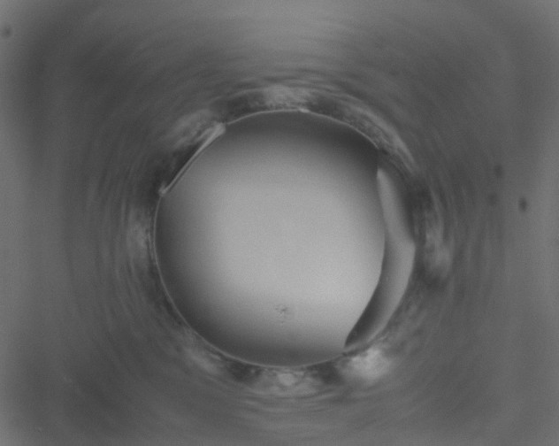 X0000051240329200506241528