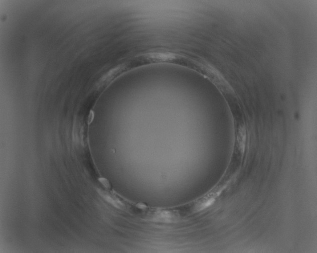 X0000051240330200506241528